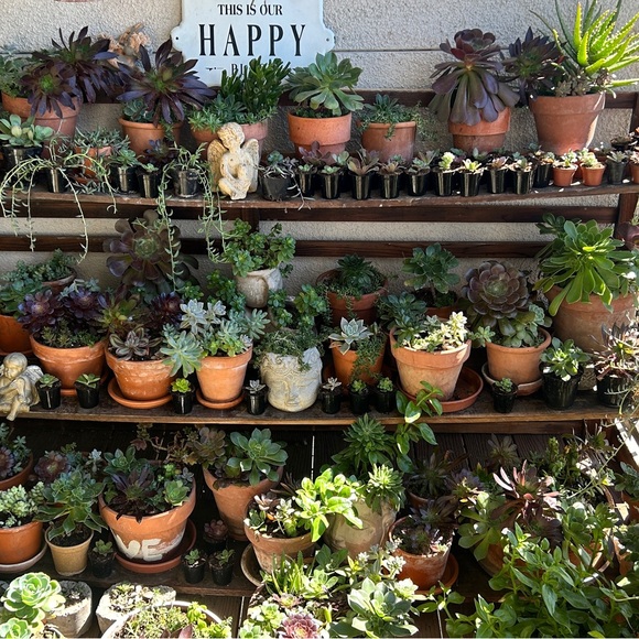 Like My Closet Flyer for updates and show information and time💗⭐️🤍 - Picture 9 of 9